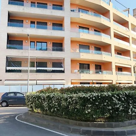 With Terrace Lloret de Mar