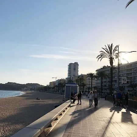 Appartement With Terrace